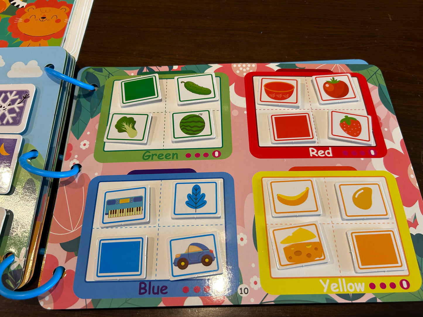 Reusable Velcro Busy Book- General Knowledge