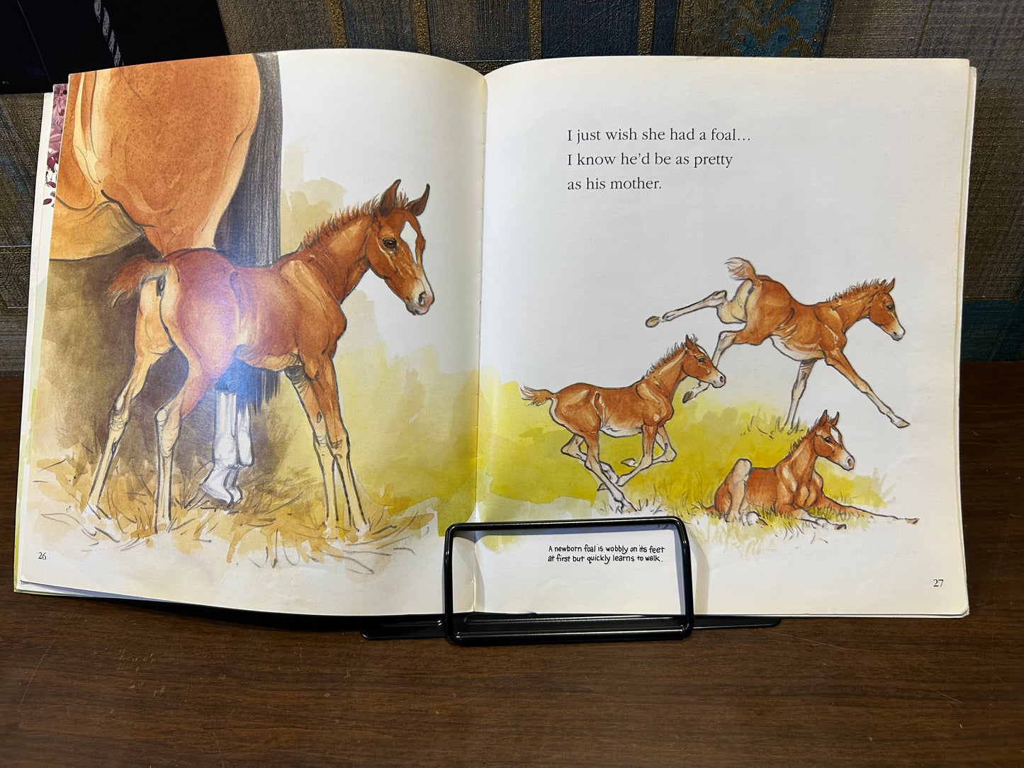 Book Reading Stand
