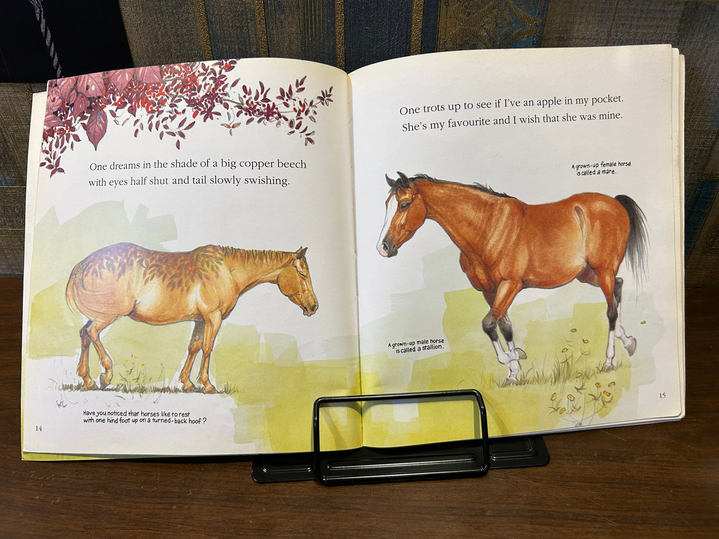 Book Reading Stand