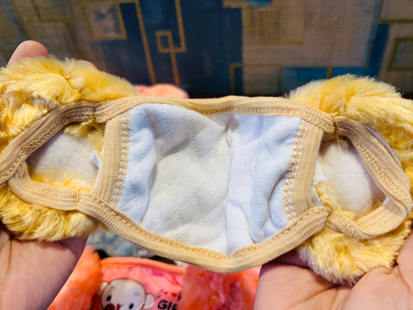 Face Mask With Earmuff