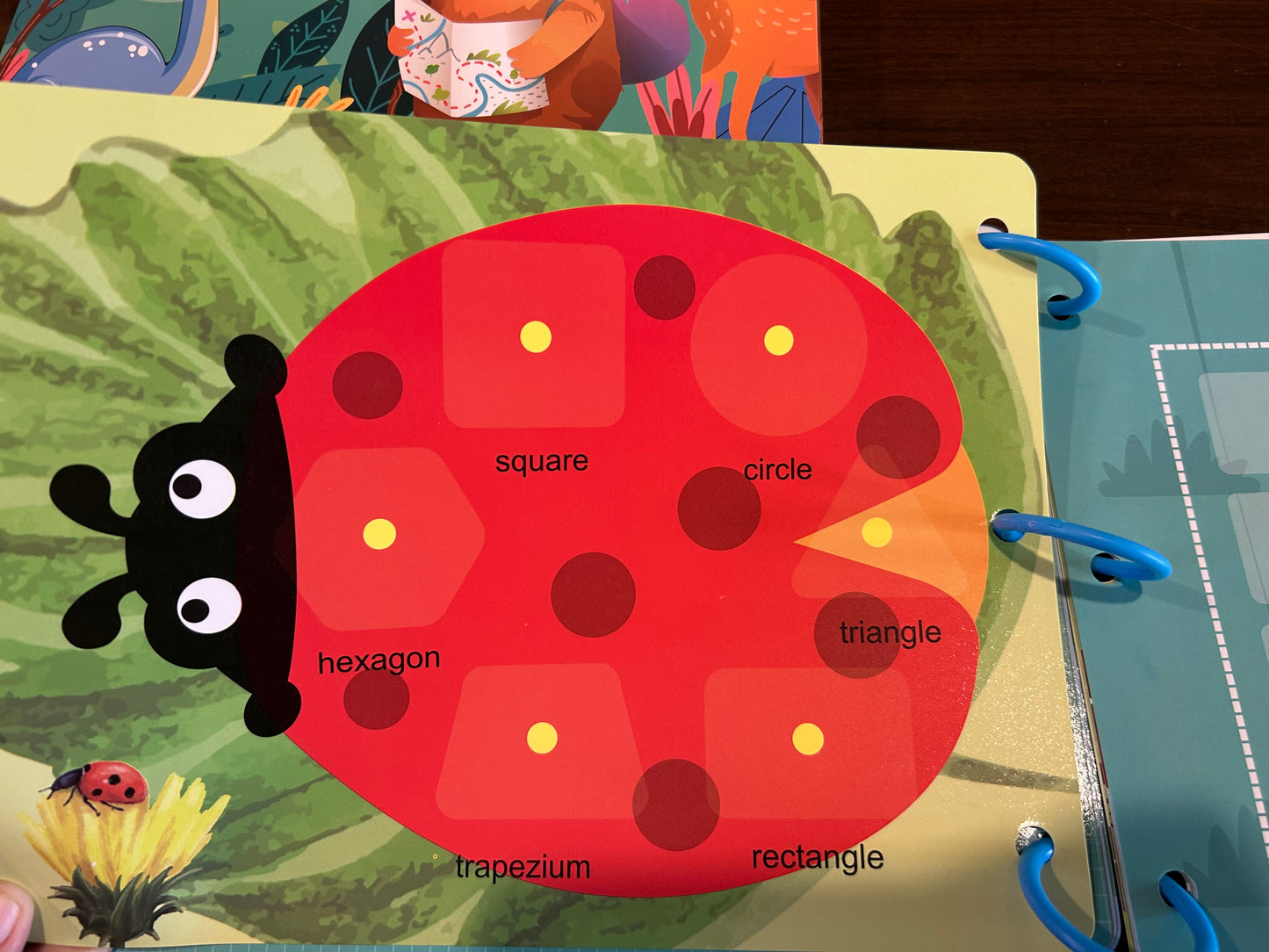 Reusable Velcro Busy Book- Maths