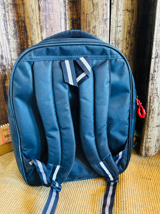 Spiderman School Bag - 15 Inch