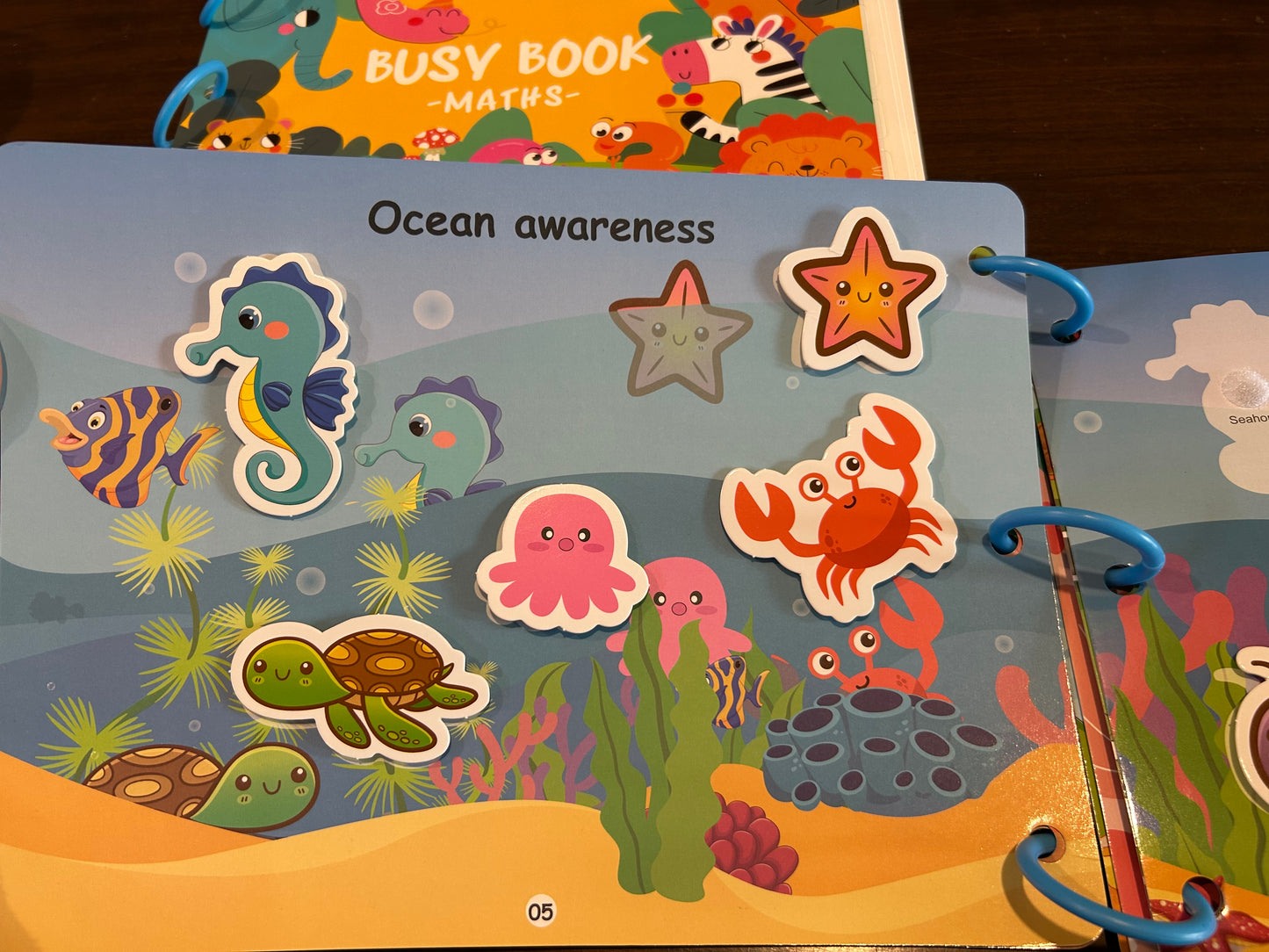 Reusable Velcro Busy Book- General Knowledge