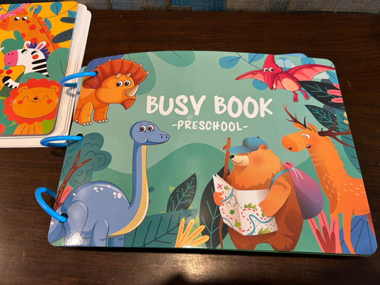 Reusable Velcro Busy Book- General Knowledge