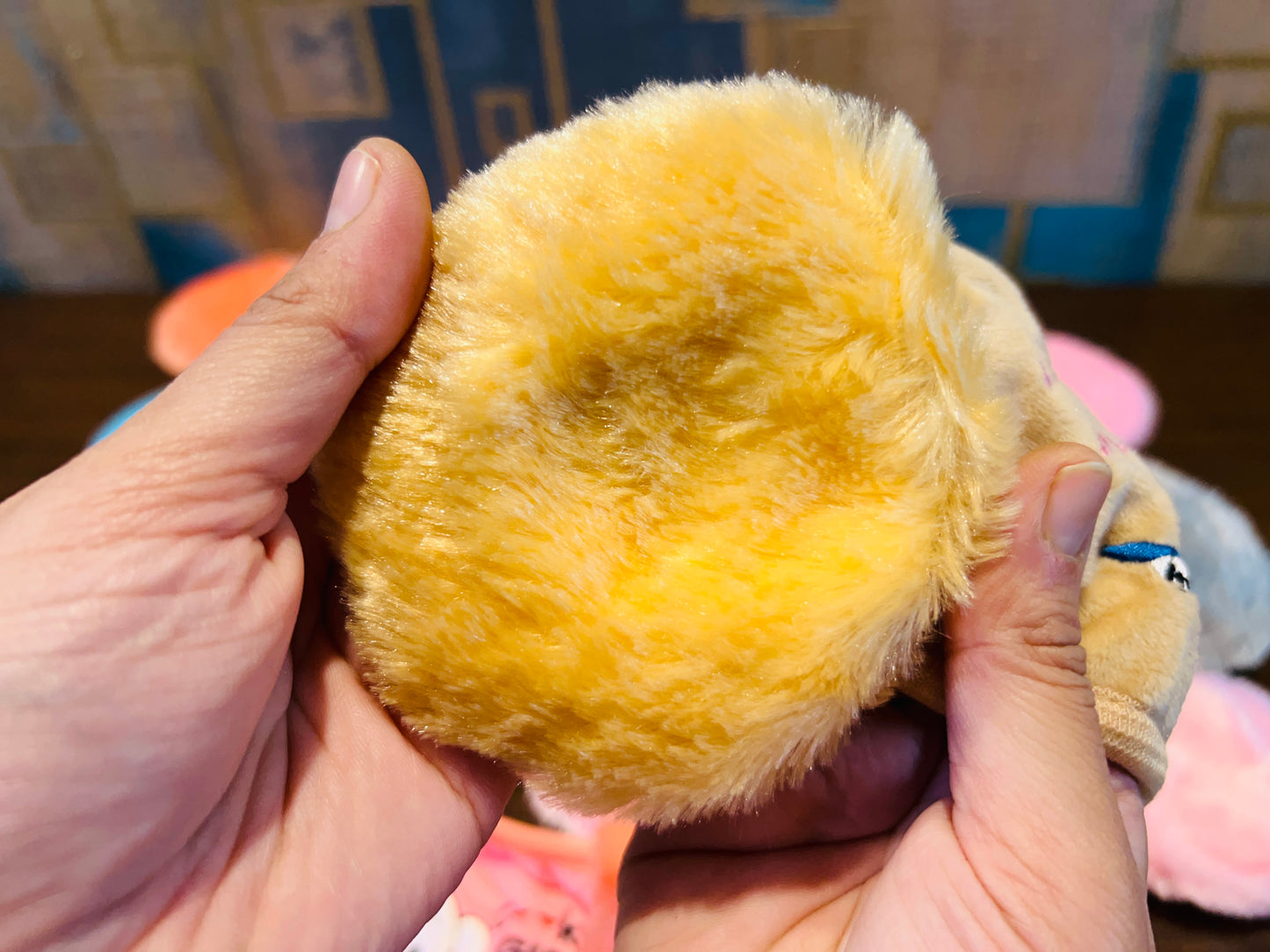 Face Mask With Earmuff