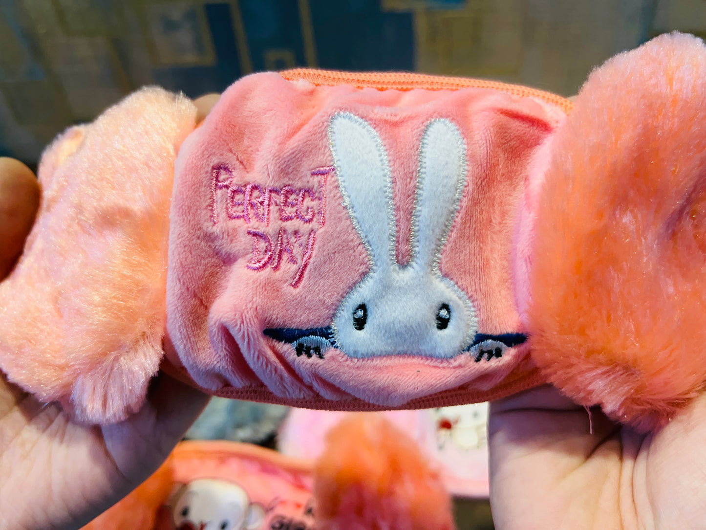 Face Mask With Earmuff