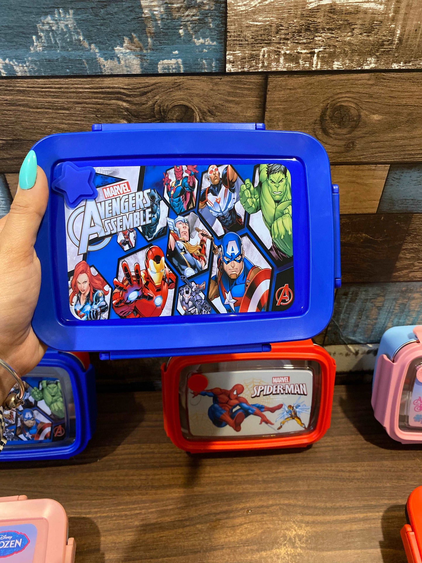 Big Sized Tiffin Box