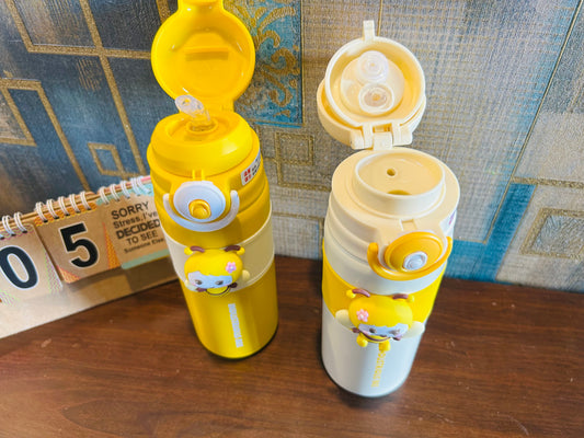 Stainless Steel Bottle And Sipper (500ml)
