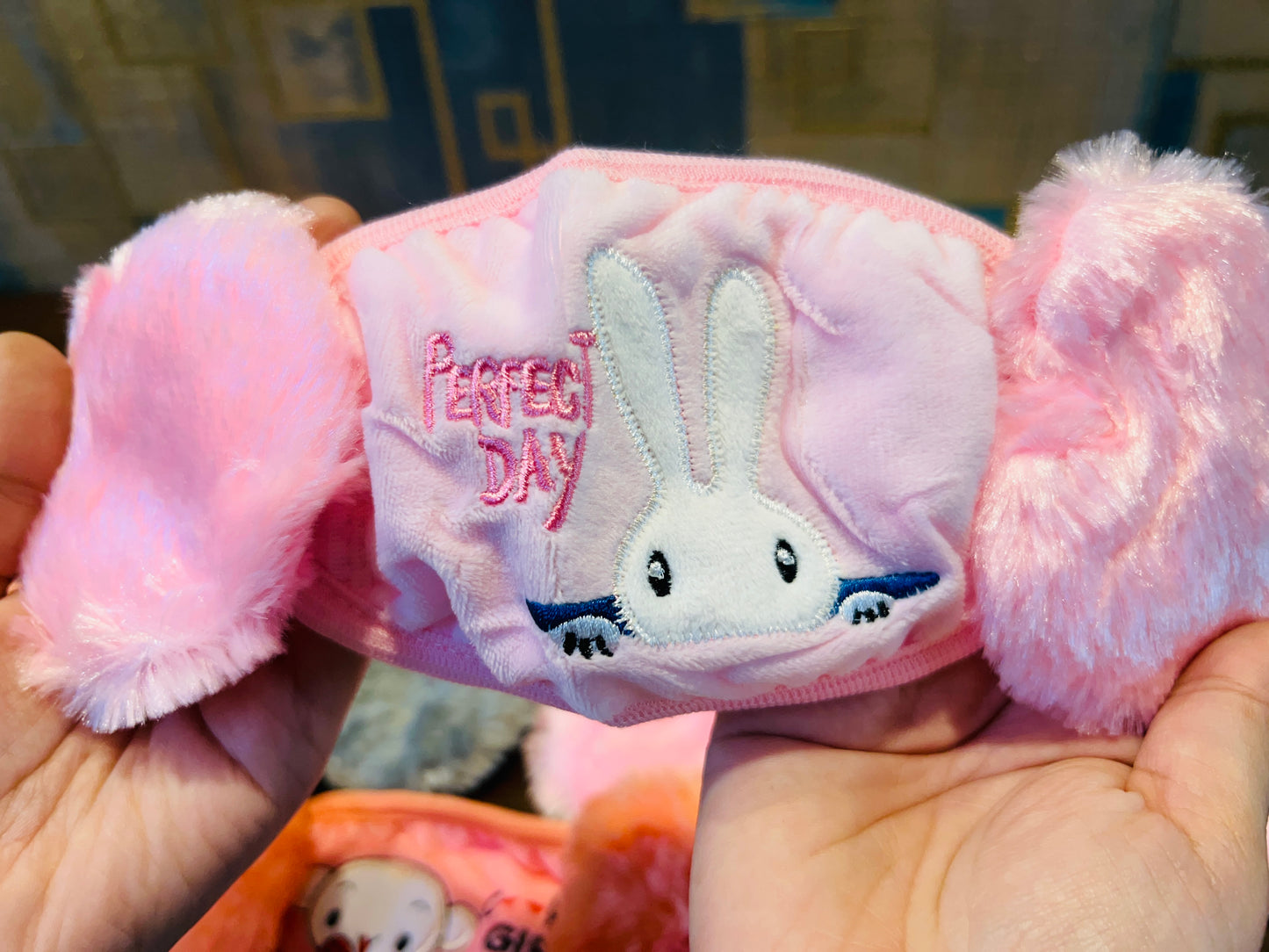 Face Mask With Earmuff