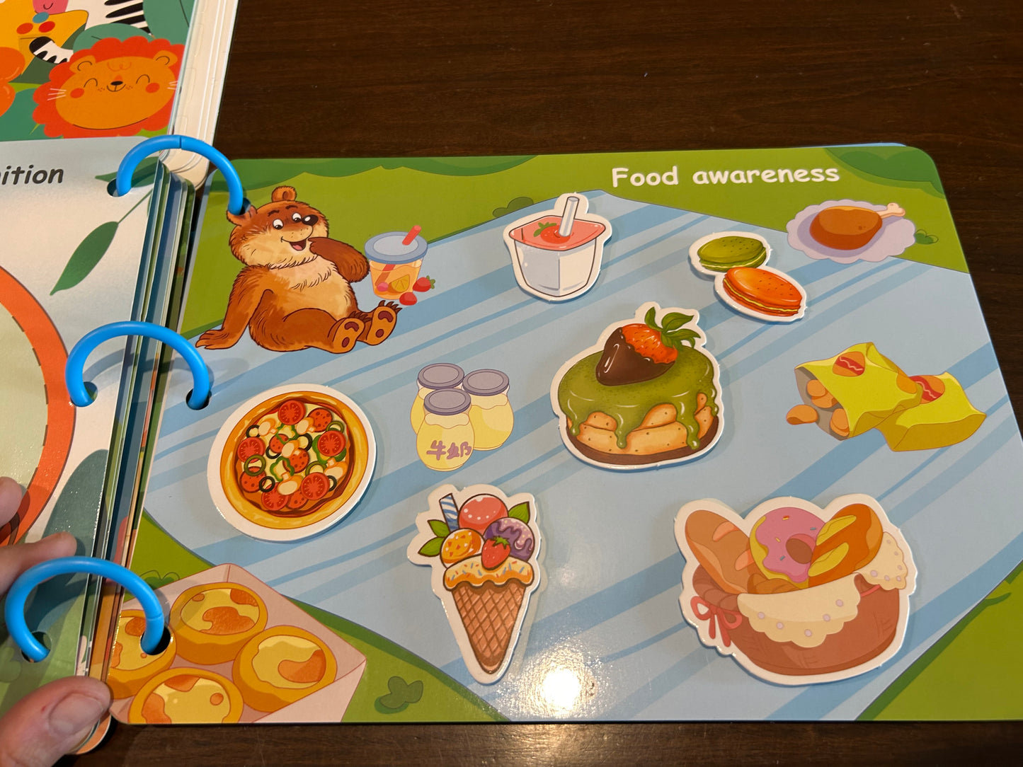 Reusable Velcro Busy Book- General Knowledge