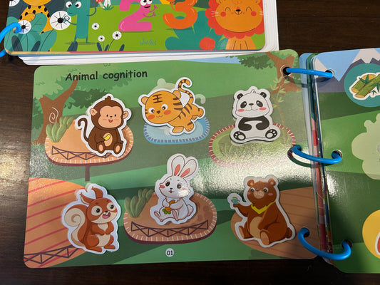 Reusable Velcro Busy Book- General Knowledge