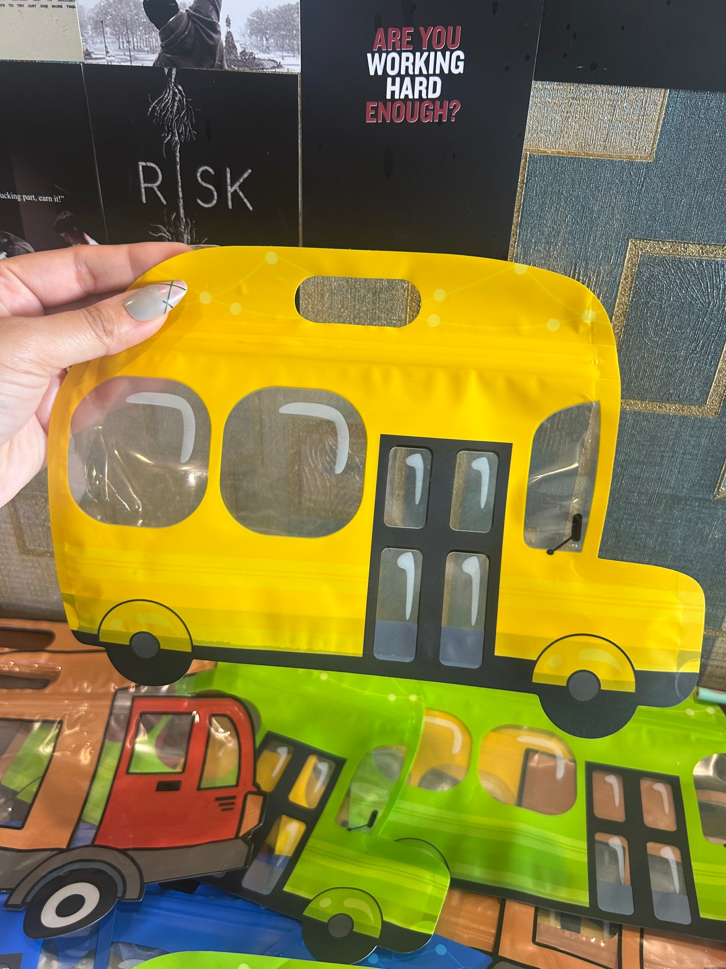 Car Transparent Pouch
