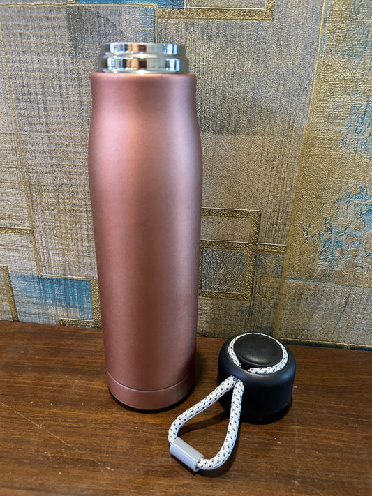 Steel Insulated Bottle