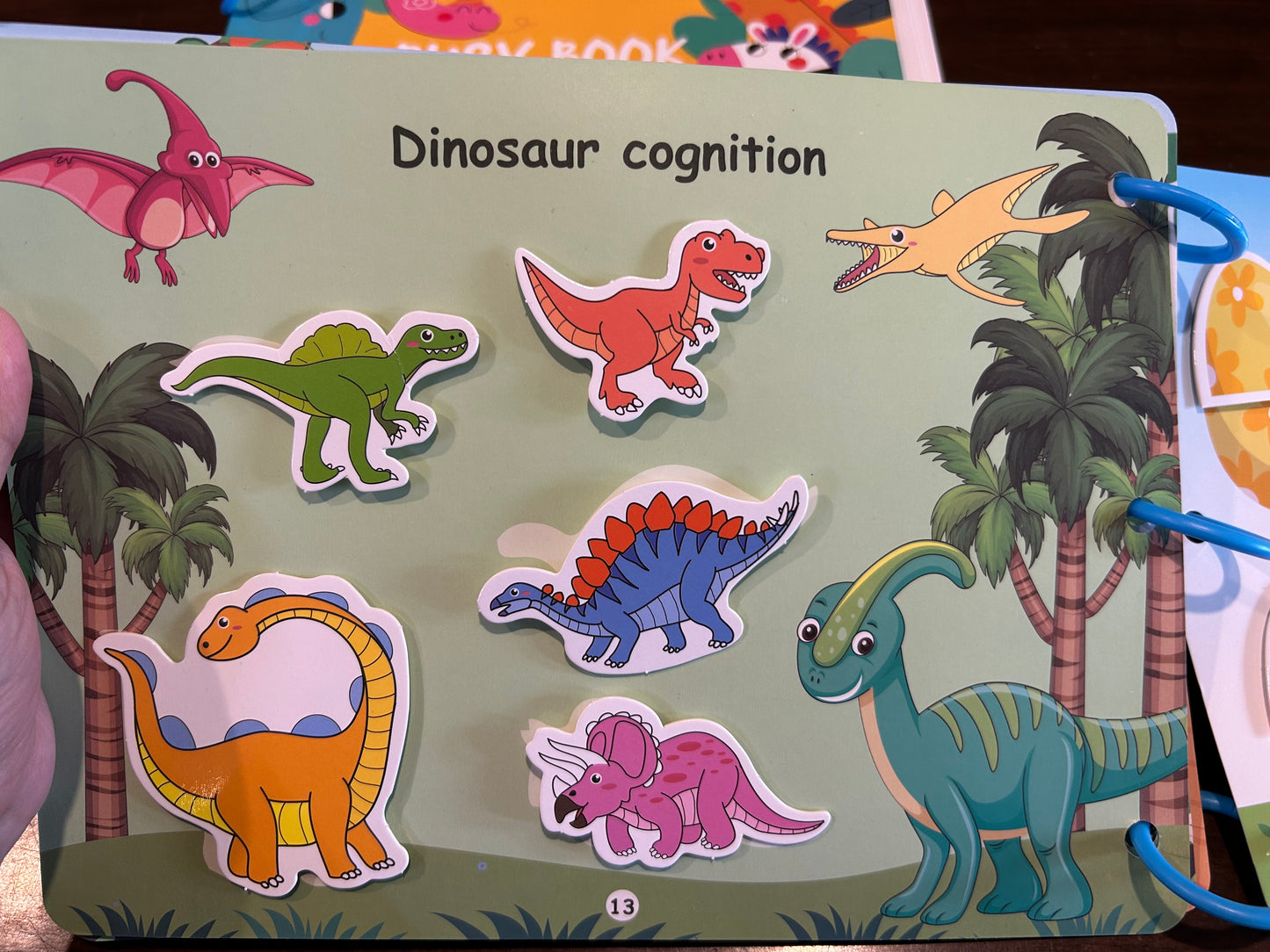 Reusable Velcro Busy Book- General Knowledge