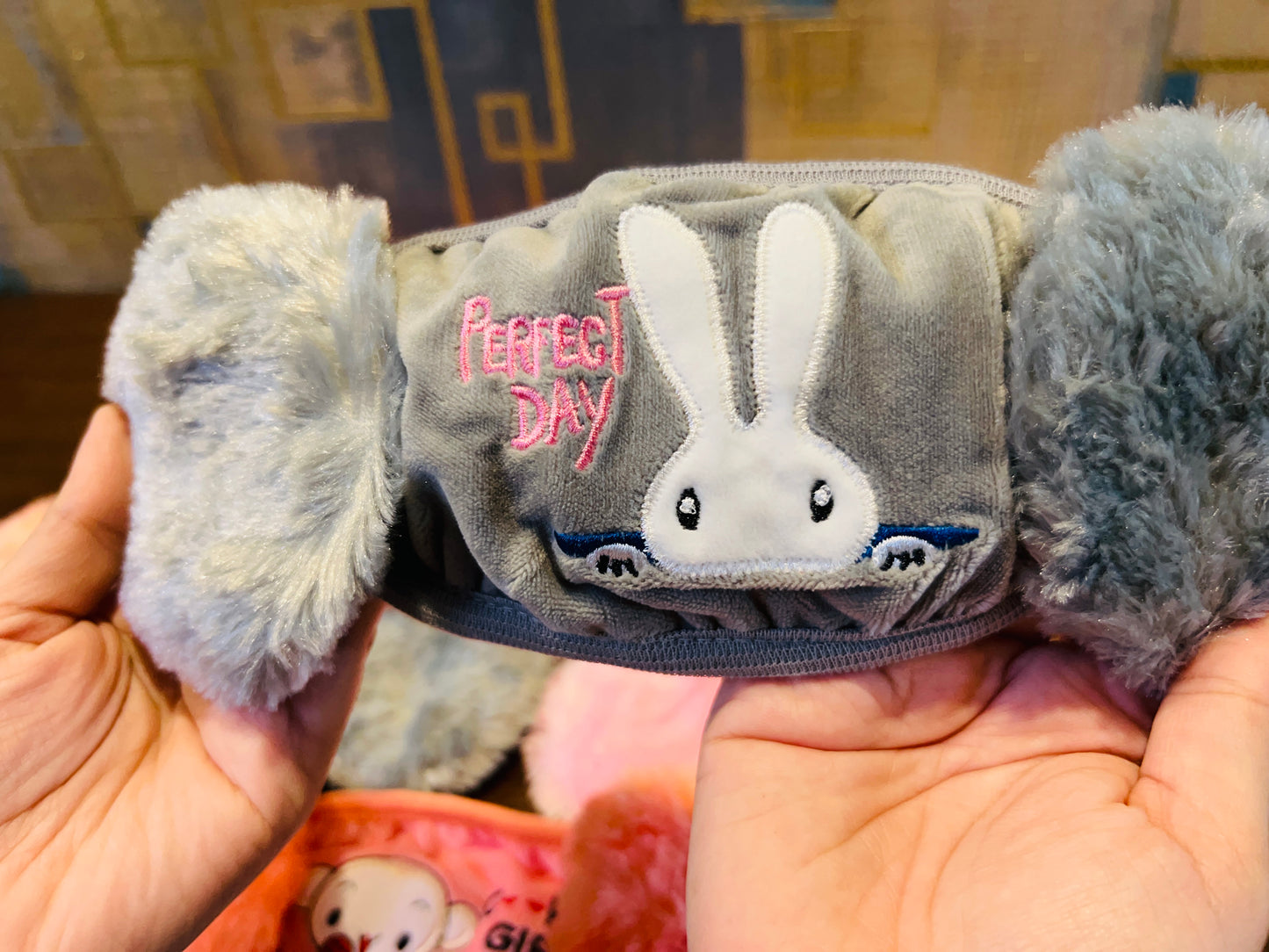 Face Mask With Earmuff