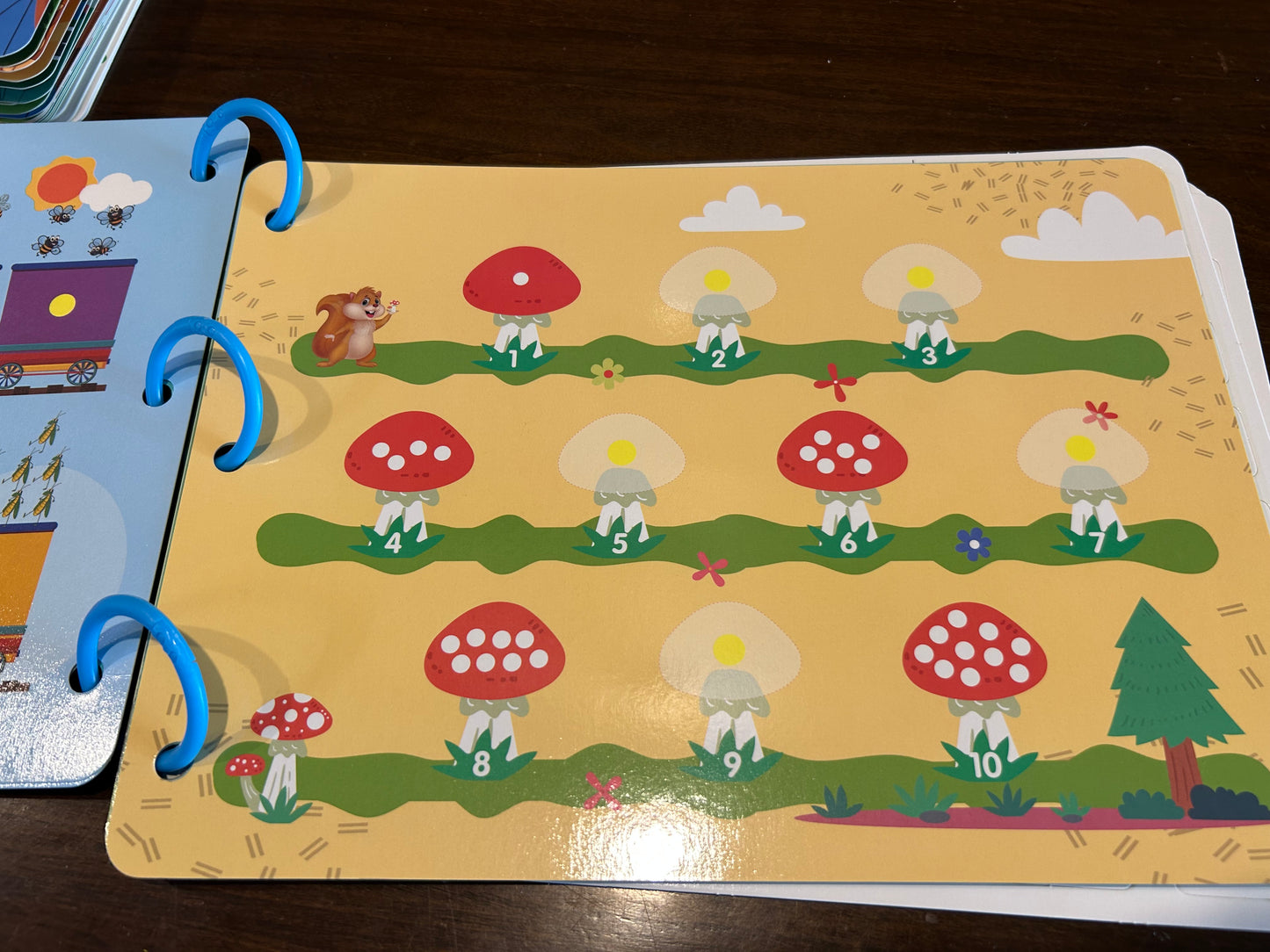 Reusable Velcro Busy Book- Maths