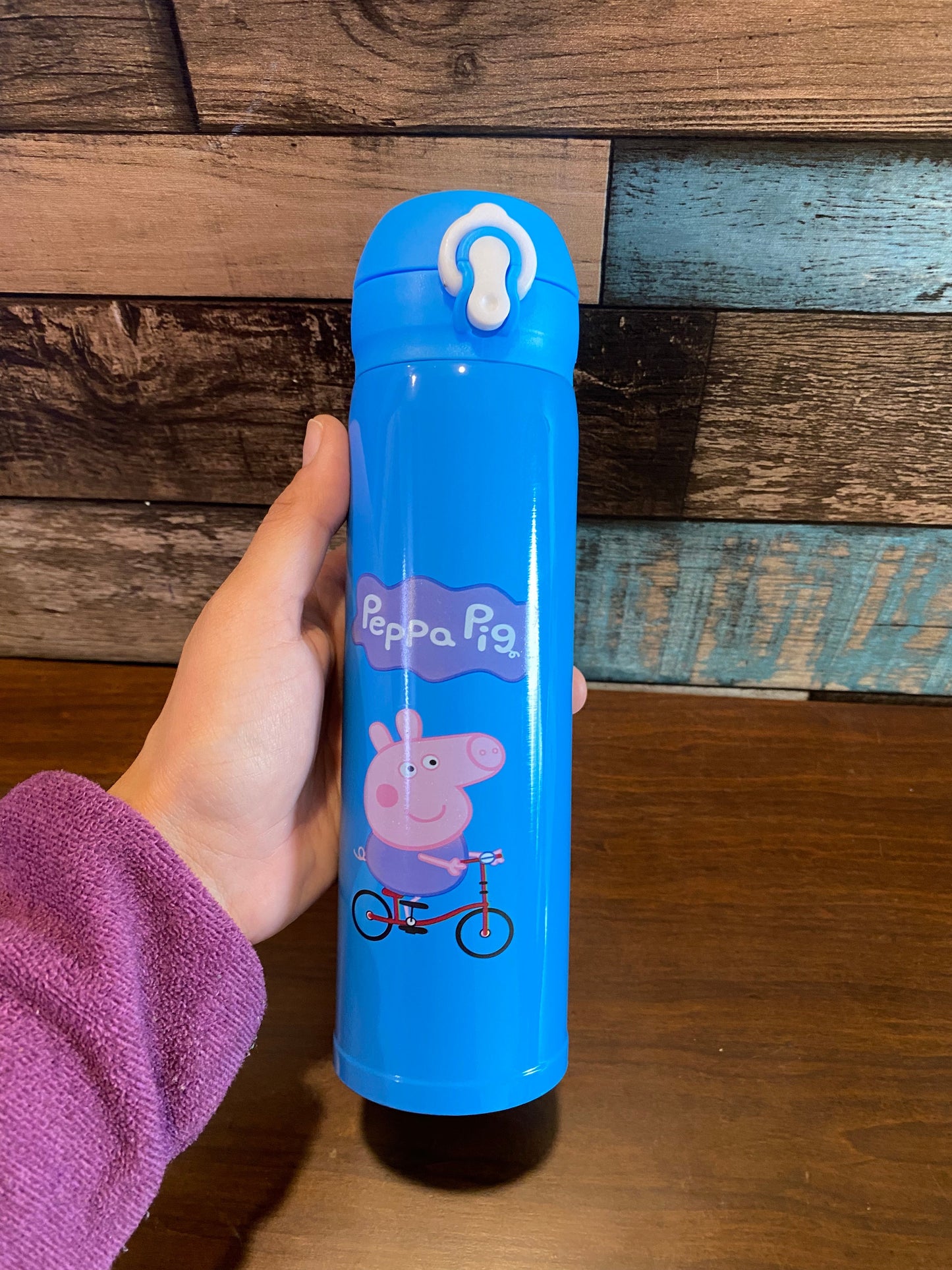 Insulated Flask