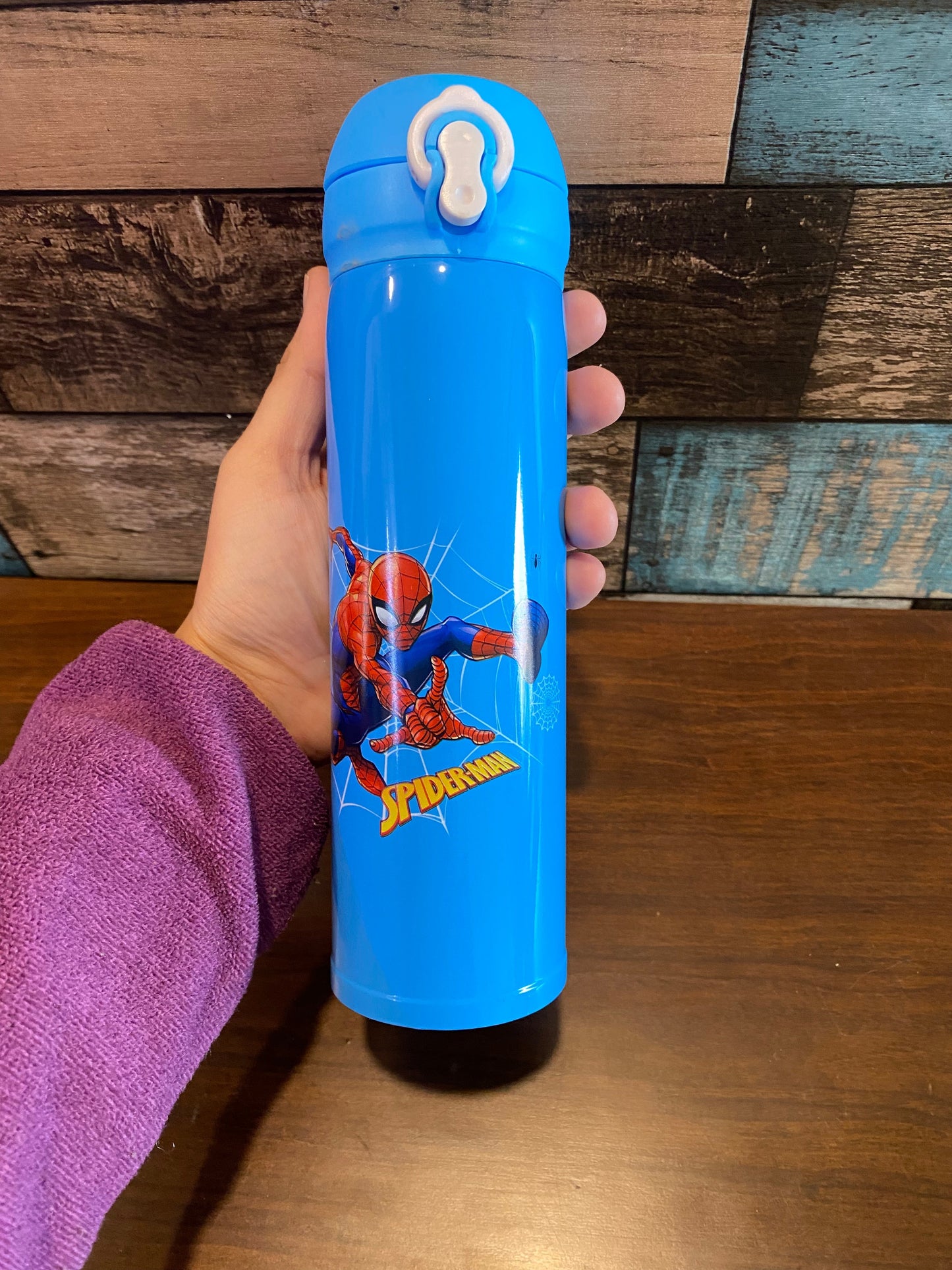 Insulated Flask