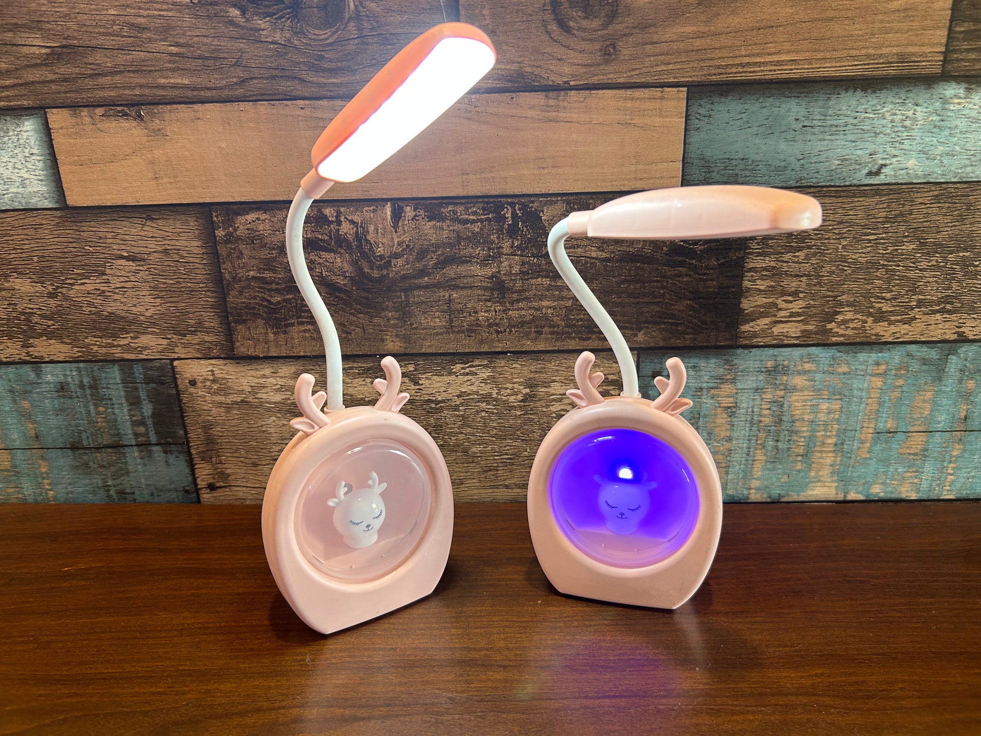 Night Study Lamp