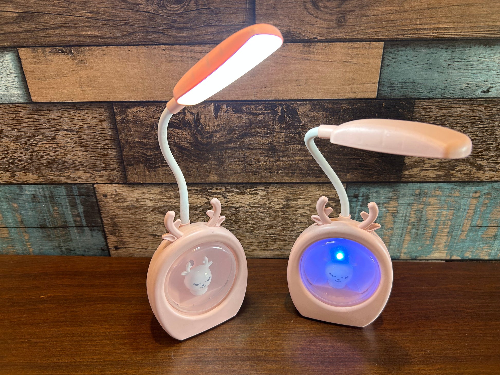 Night Study Lamp