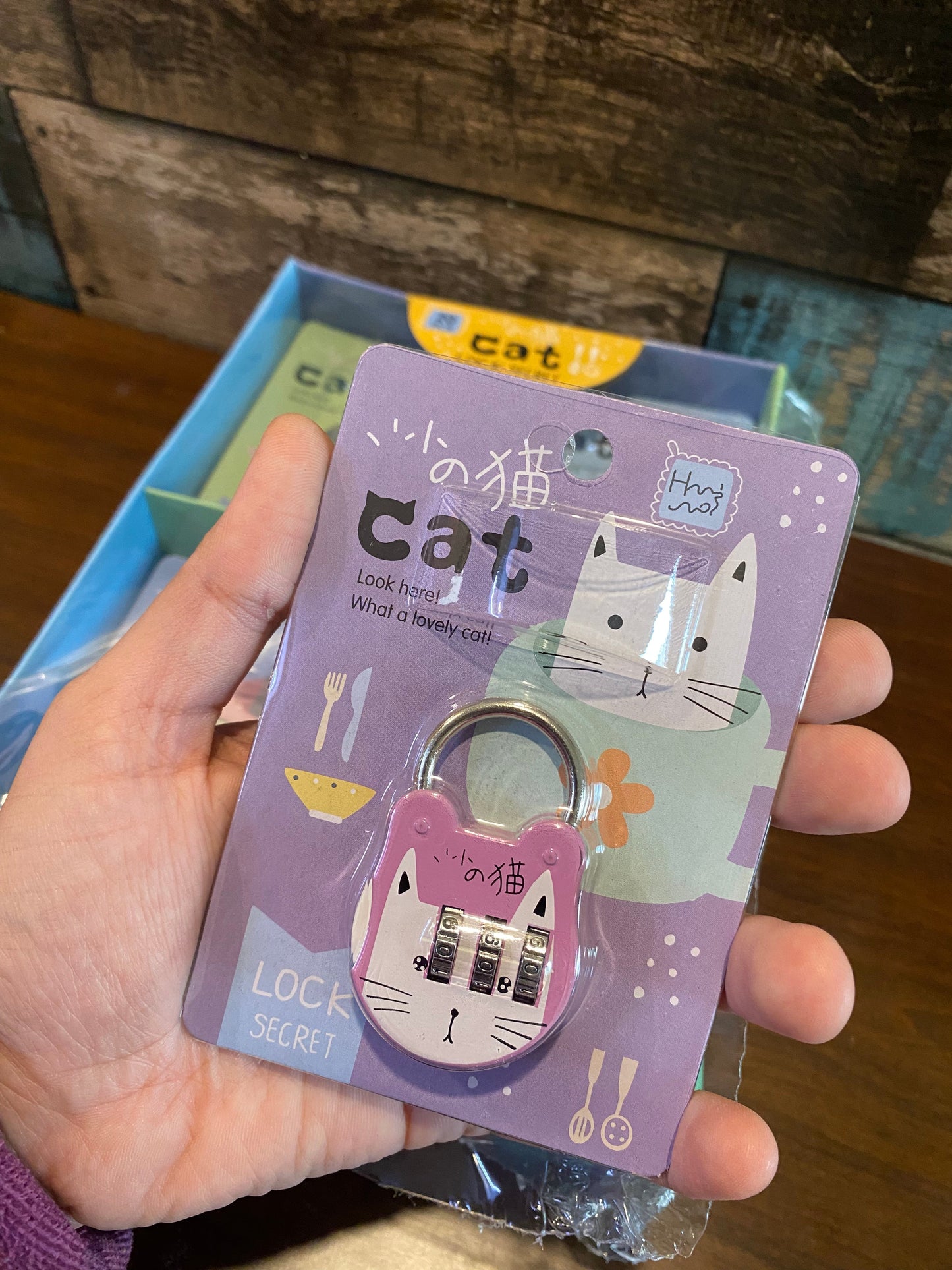 Secret Password Lock