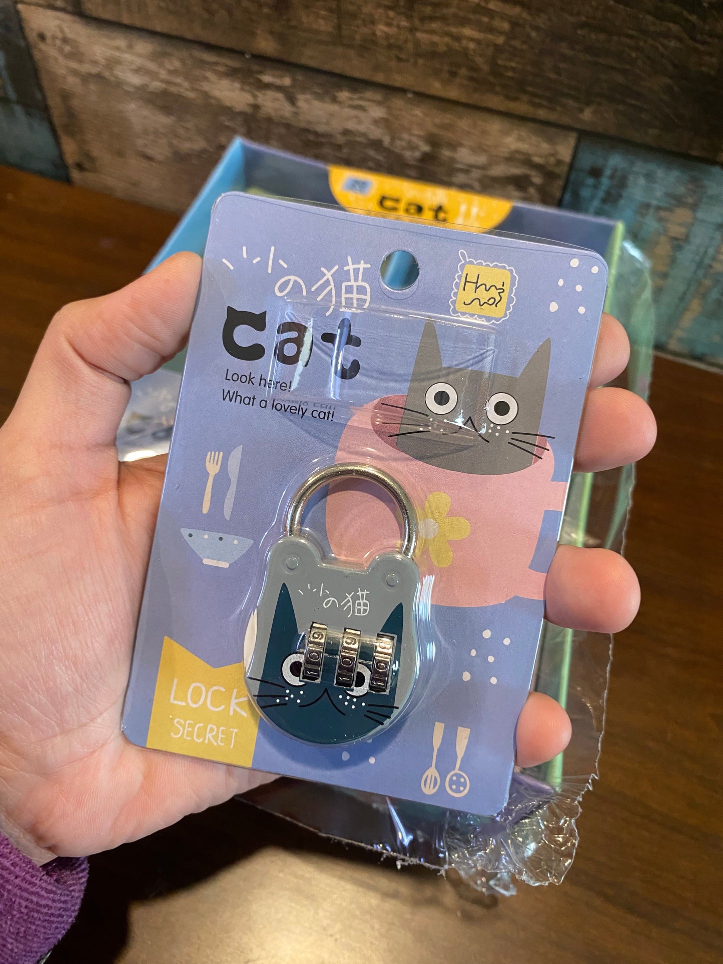 Secret Password Lock