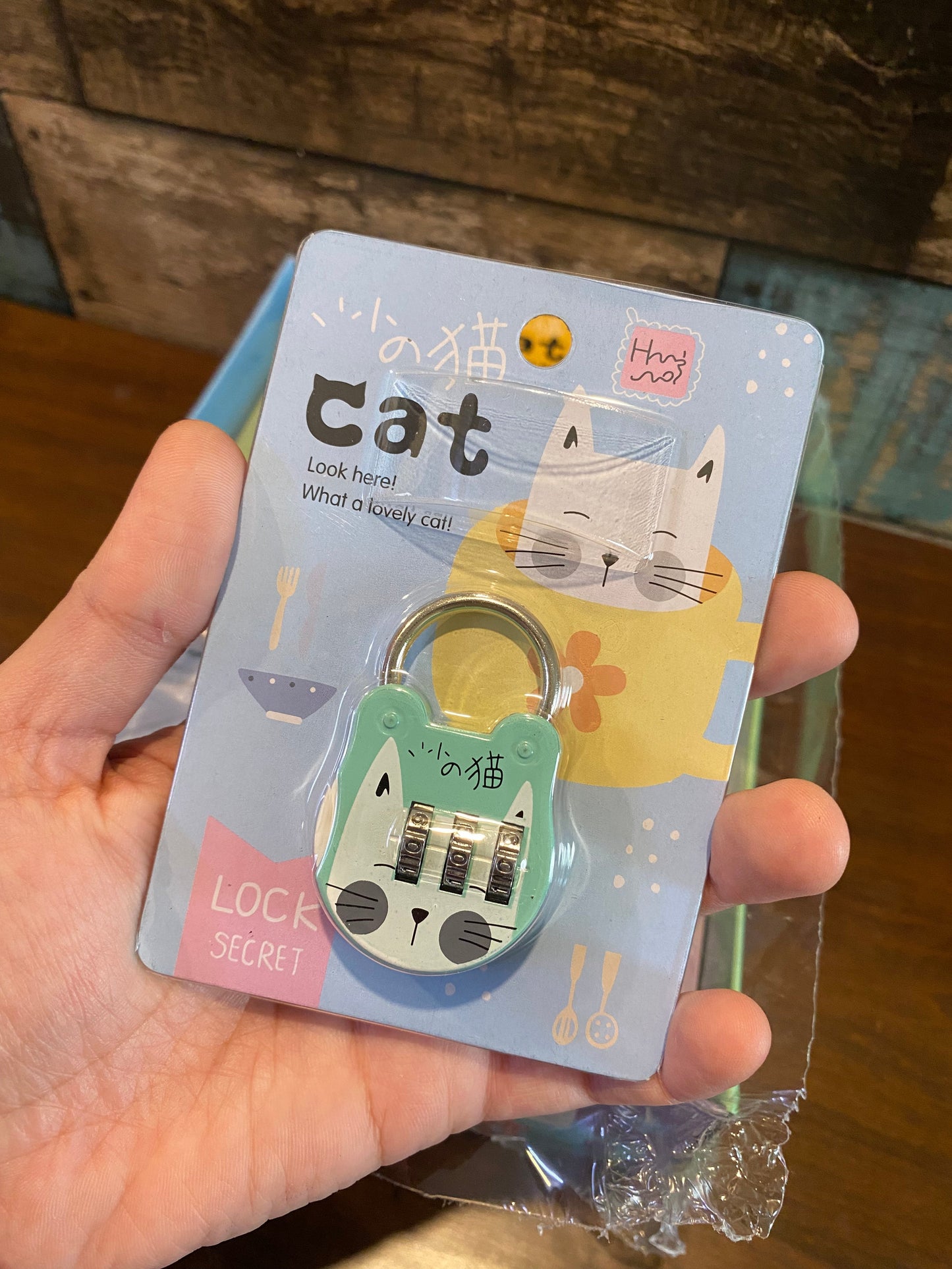 Secret Password Lock