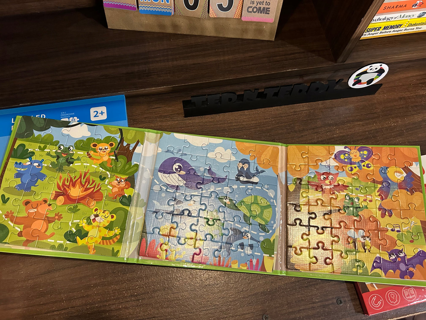 Magnetic Puzzle Book