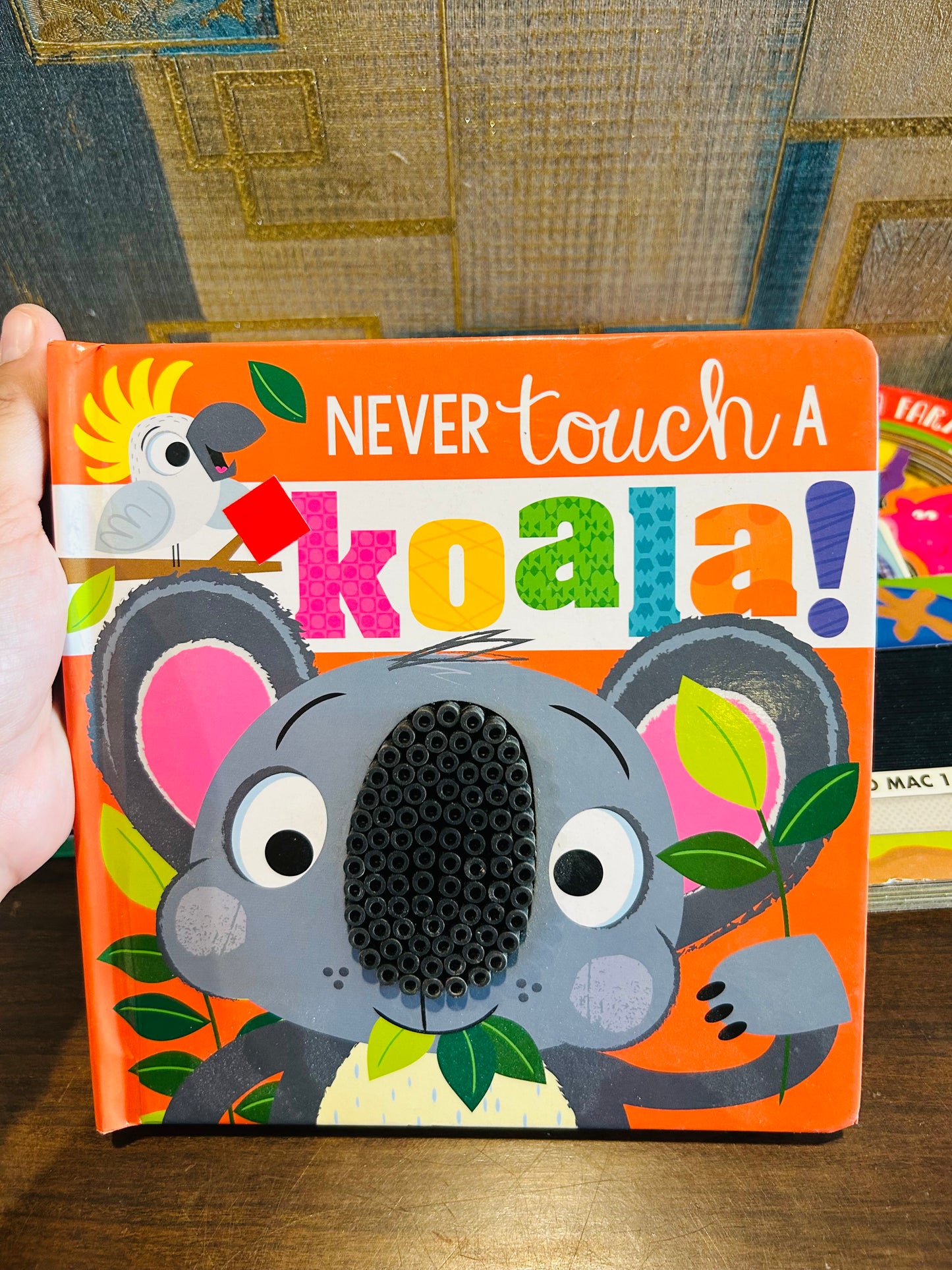 Never Touch A Koala