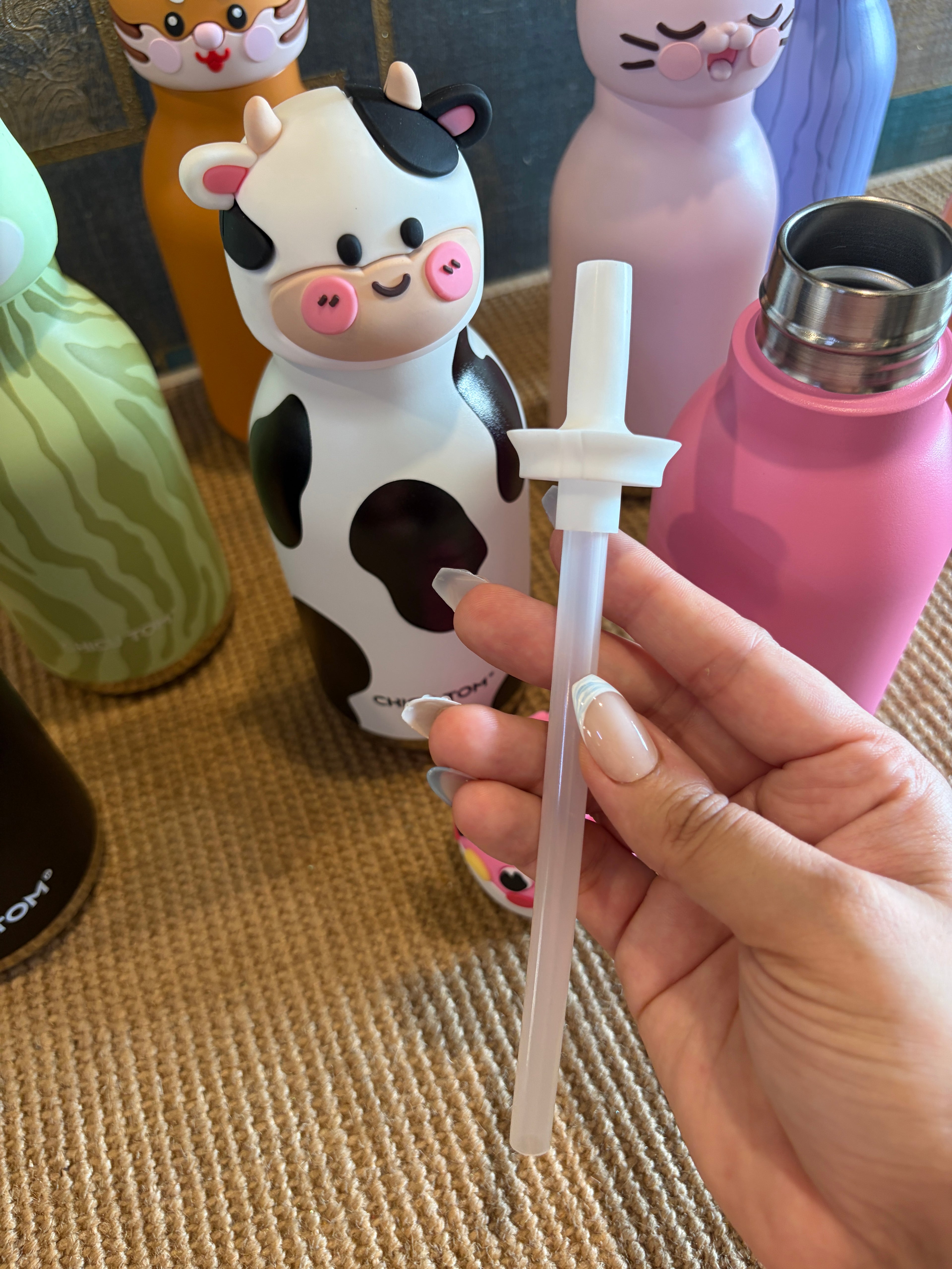 Animal Bottle - 480ml