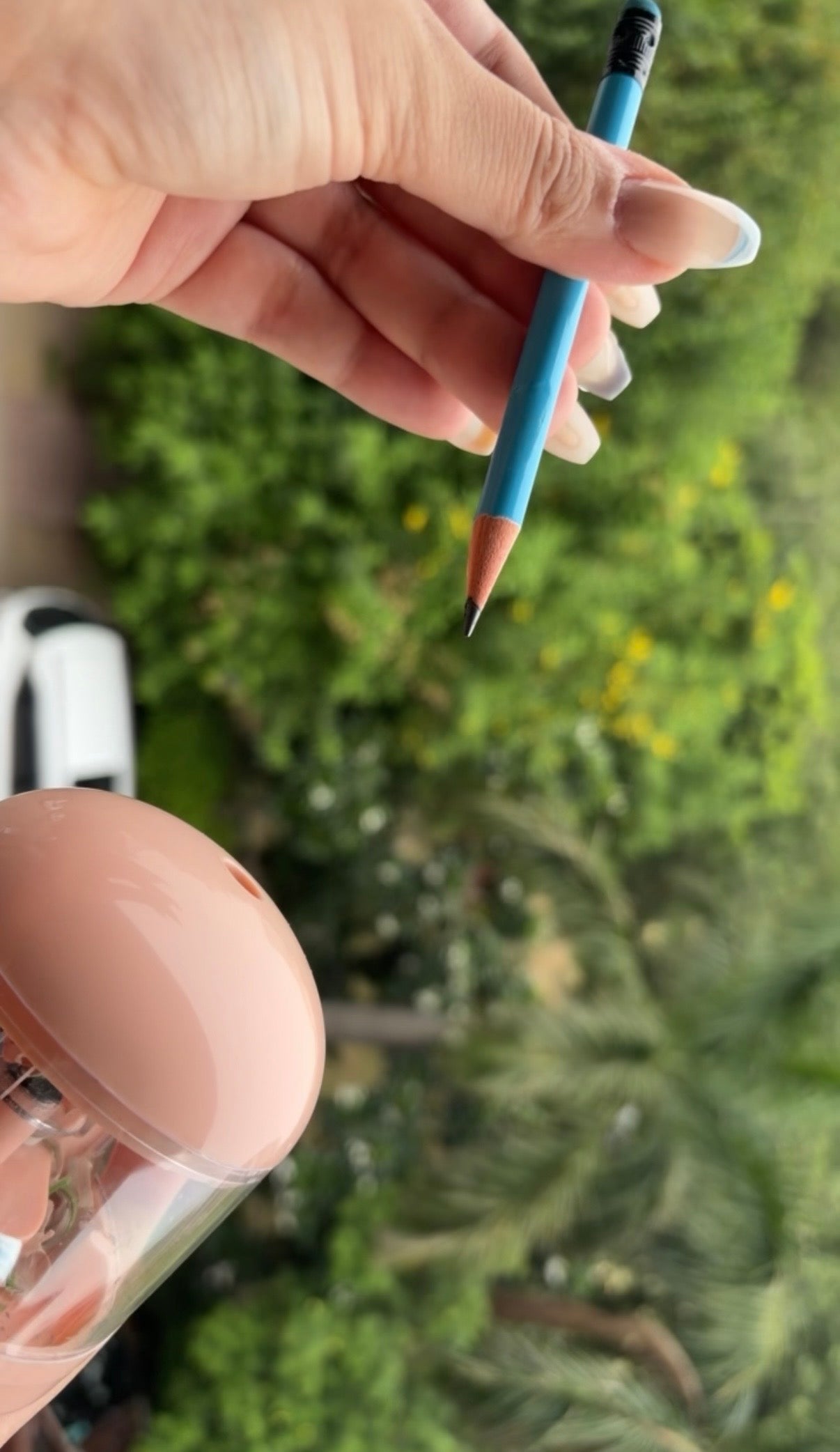 Electric Sharpener