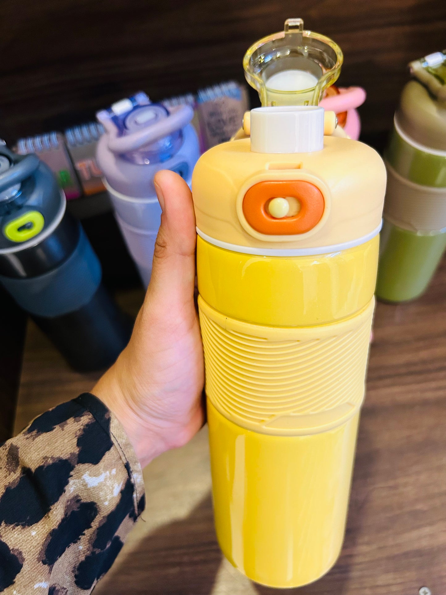 Stainless Steel Insulated Bottle