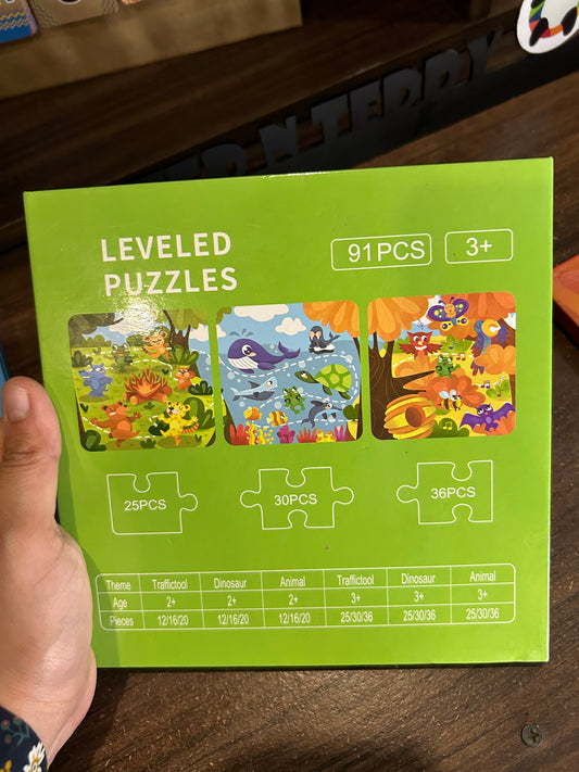 Magnetic Puzzle Book