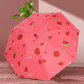 Automatic Foldable Fruit Umbrella With Cover