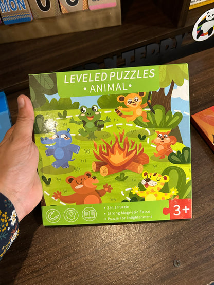 Magnetic Puzzle Book