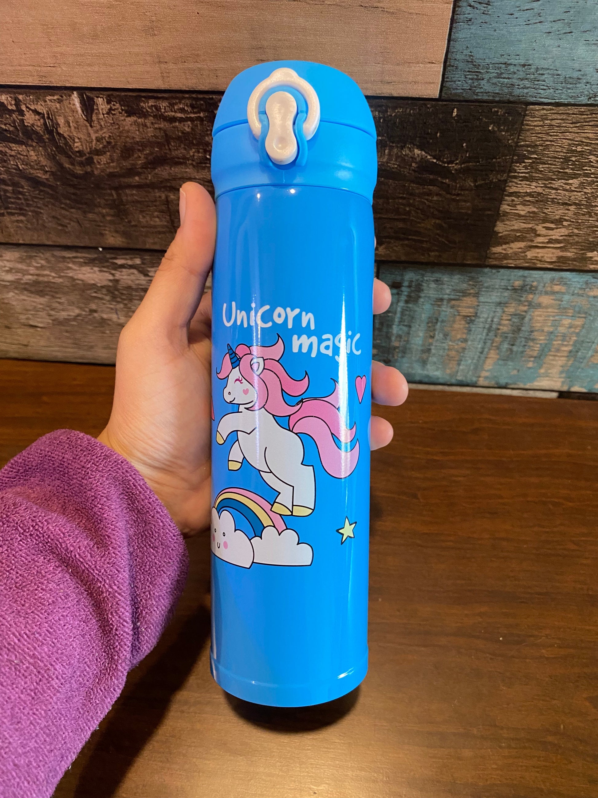 Insulated Flask