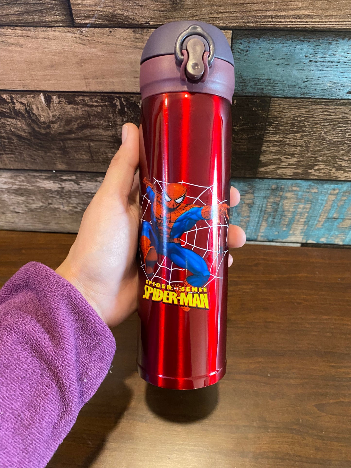 Insulated Flask
