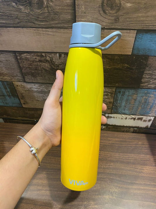 Viva Insulated Bottle